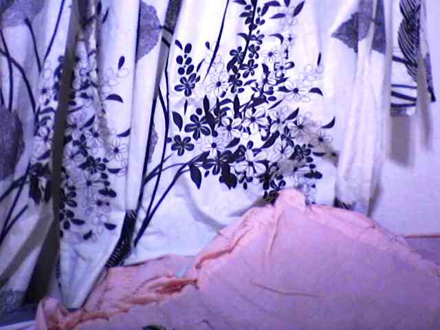 Mayrah webcam