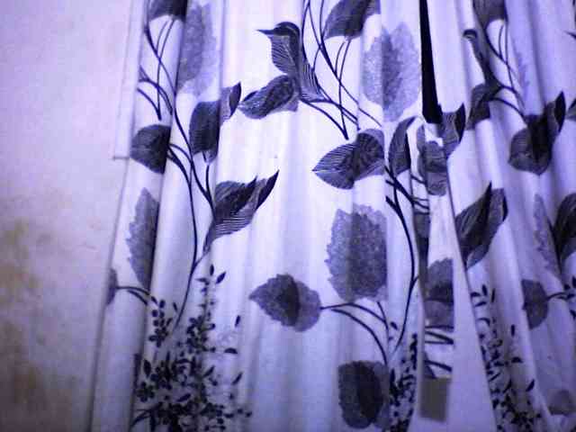 silviaLaBombe webcam