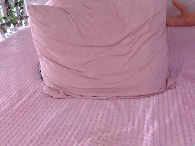 tashika webcam