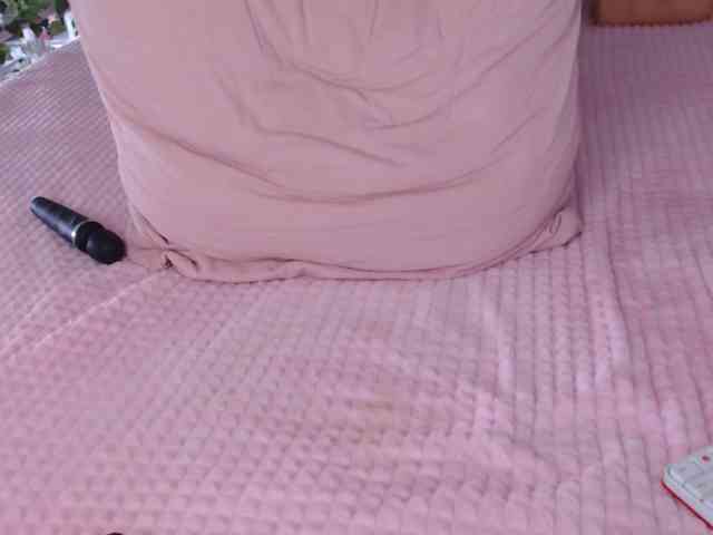 tashika webcam