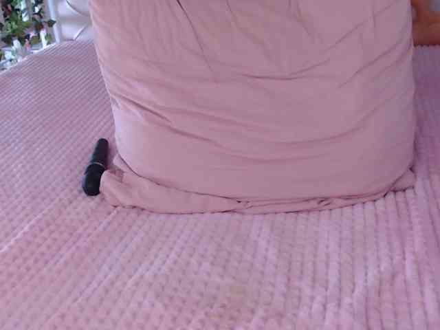 tashika webcam