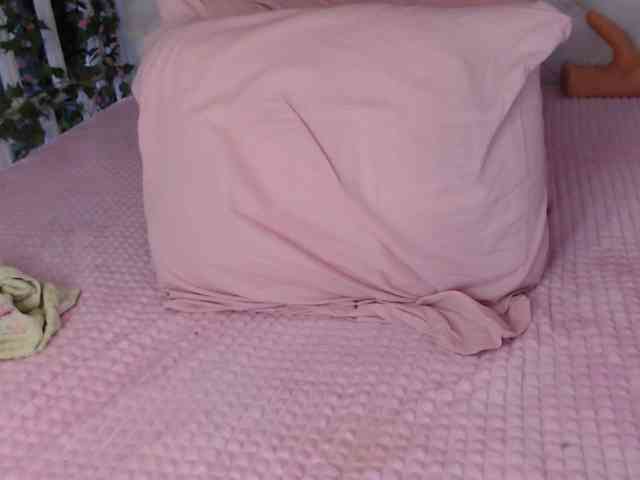 tashika webcam