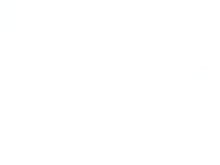 ---oTo-Toy---