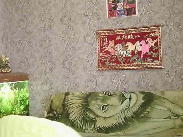 JanessNE webcam