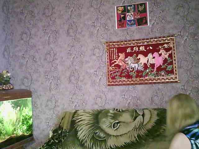 JanessNE webcam