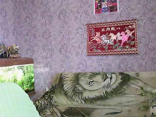 JanessNE webcam