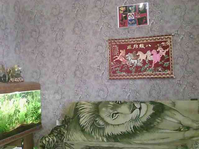 JanessNE webcam