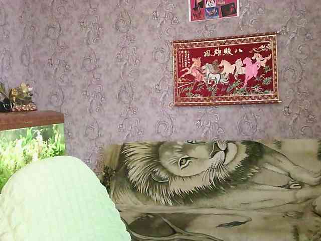 JanessNE webcam