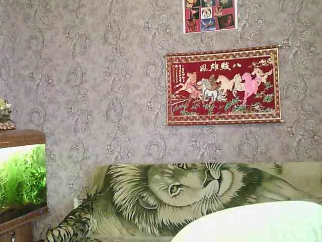 JanessNE webcam