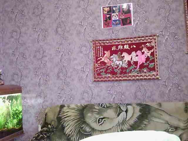 JanessNE webcam