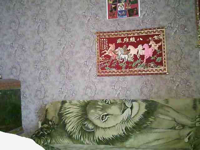 JanessNE webcam