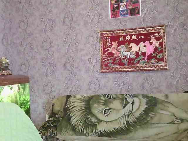 JanessNE webcam
