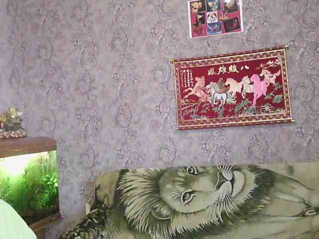 JanessNE webcam