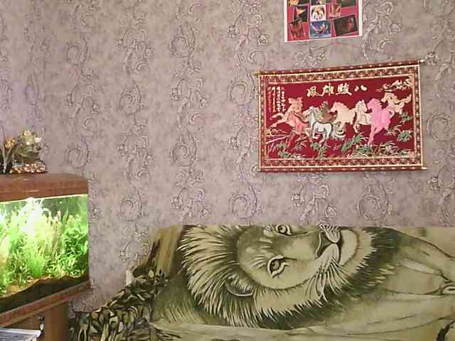 JanessNE webcam