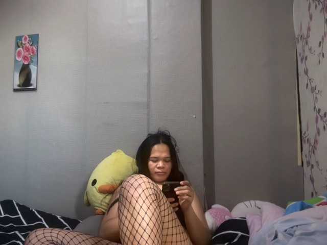 SophiaNavigar