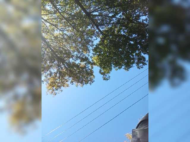 Saschab