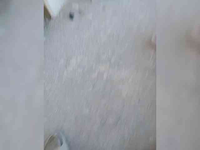 Saschab