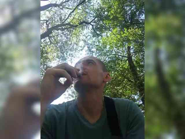 Saschab