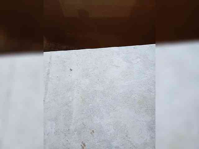 Saschab