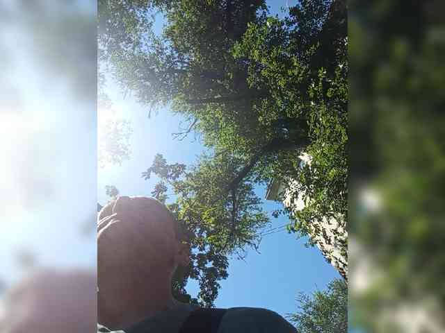 Saschab