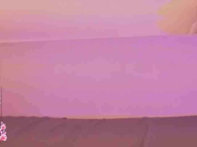 levanna webcam