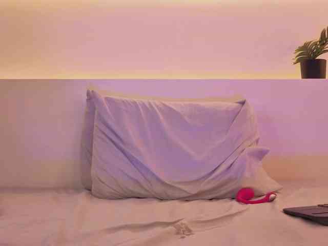 levanna webcam