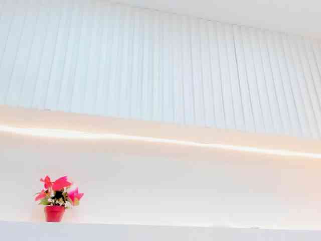 levanna webcam