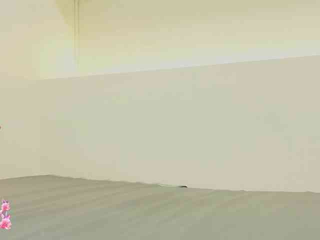 levanna webcam