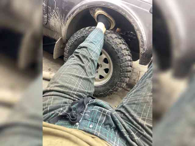 Krolik69a1