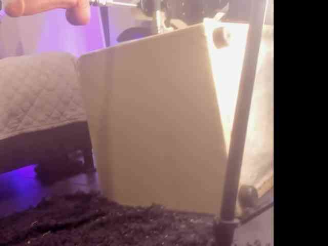 Melany-8 webcam