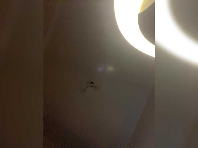 Bunnyb live webcam show