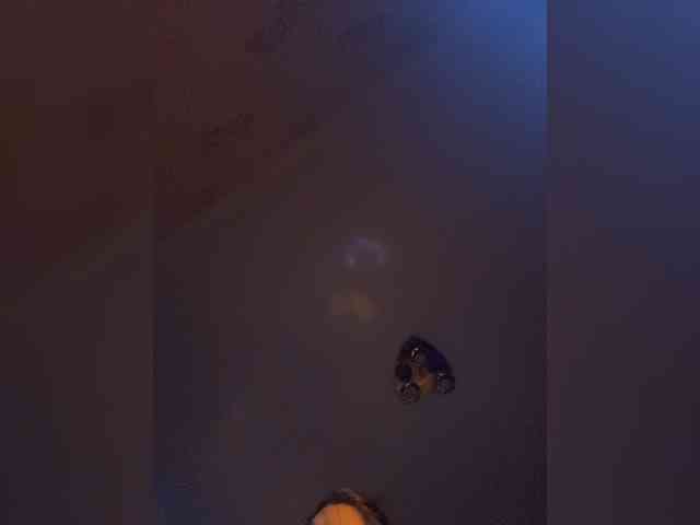 KinderPi webcam