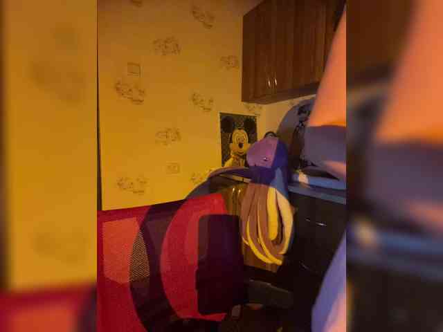 KinderPi webcam
