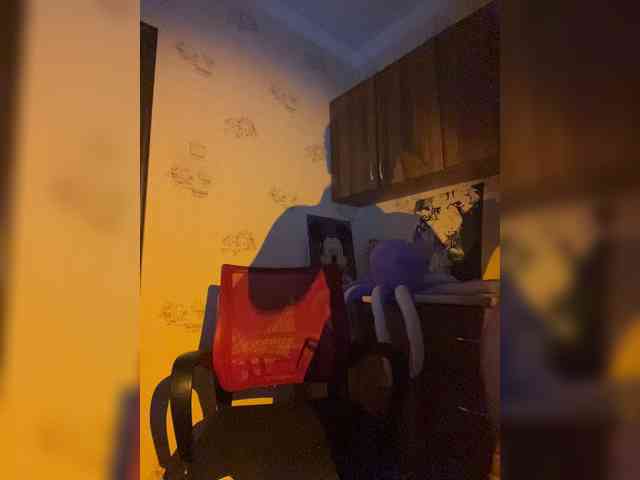 KinderPi webcam