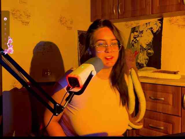 KinderPi webcam