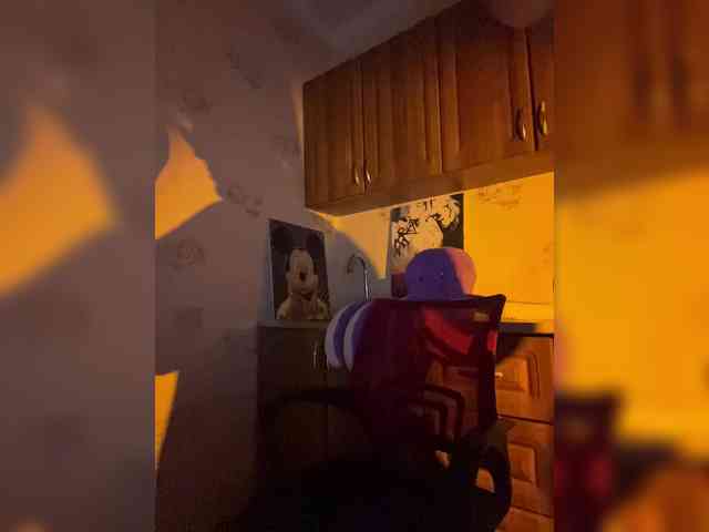 KinderPi webcam