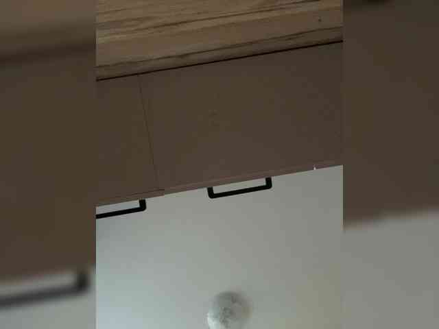 RoleRoleMop Sex Cam Show