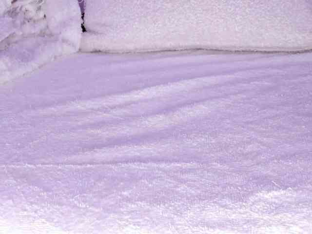 cutte-hanna18 webcam