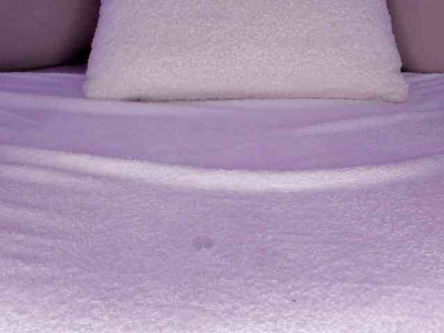 cutte-hanna18 webcam