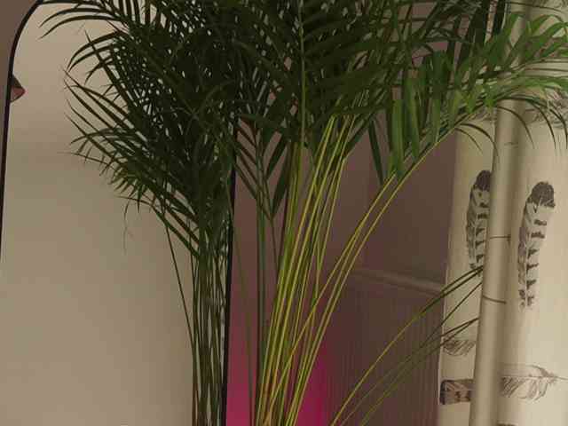 EmilyxJames Sex Cam Show