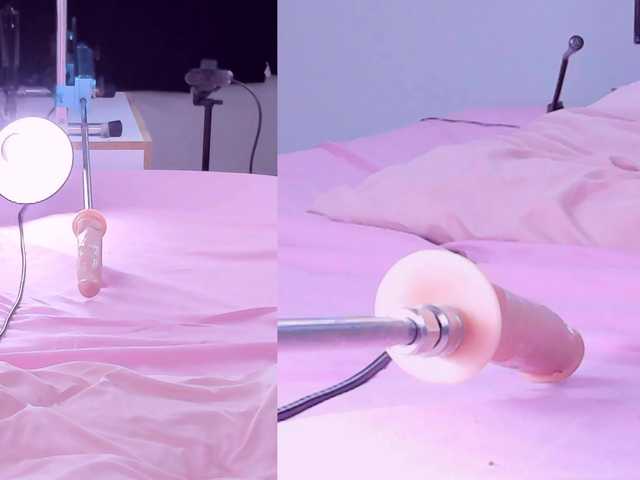 Riley-Sweet's BongaCams show and profile