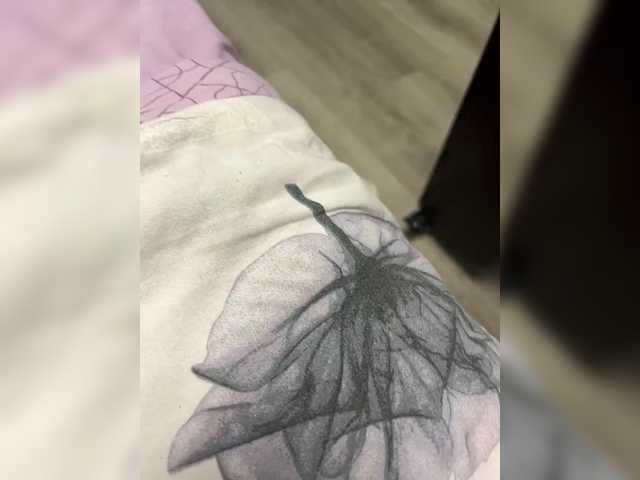 Segatronn