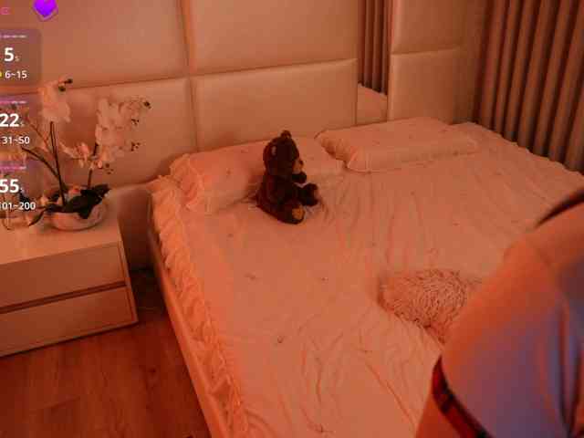 Rerince webcam