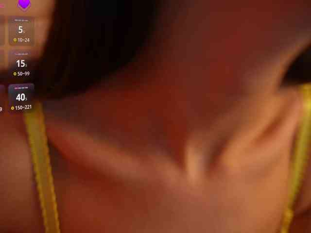 Rerince webcam