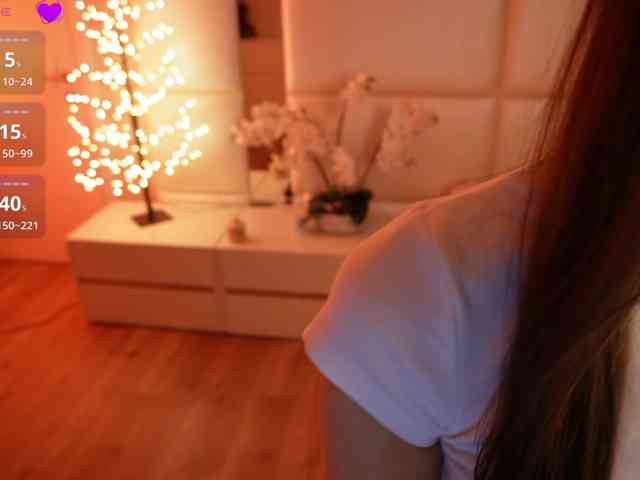 Rerince webcam