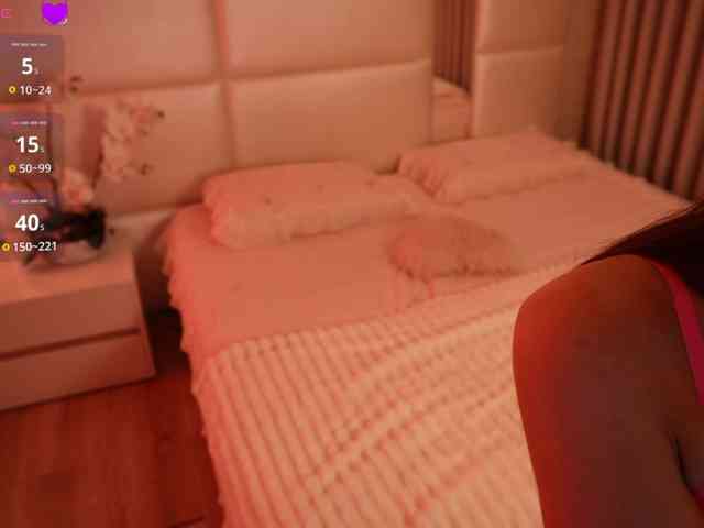 Rerince webcam