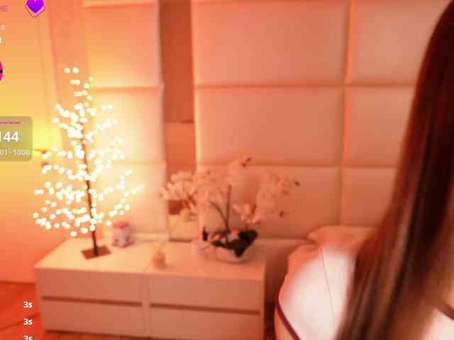 Rerince webcam