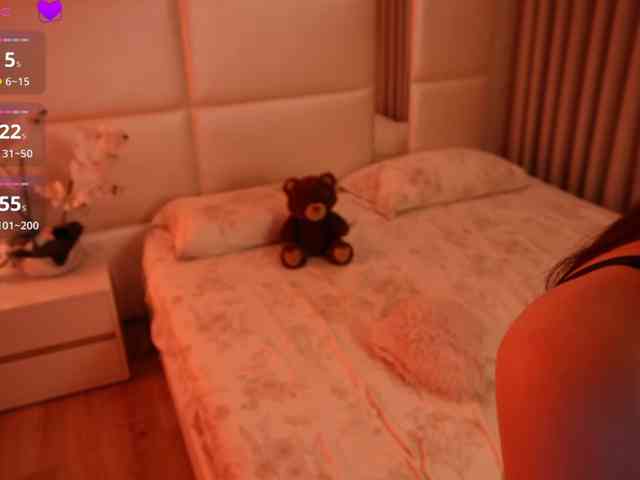 Rerince webcam