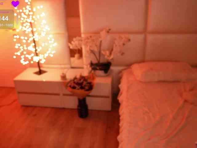 Rerince webcam