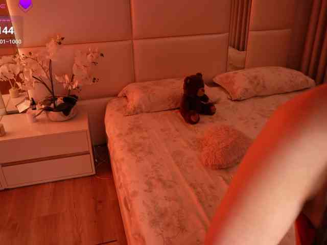 Rerince webcam